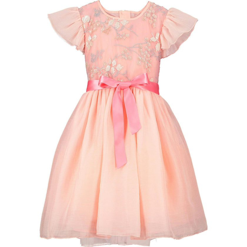 Shimmer Blossom Embroidered Dress