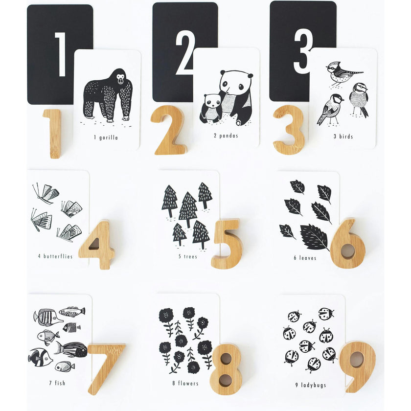 Counting Adventure Bundle