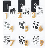 Counting Adventure Bundle