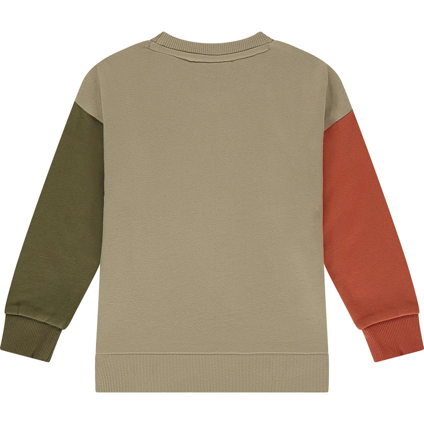 Colorblock Crewneck Sweatshirt