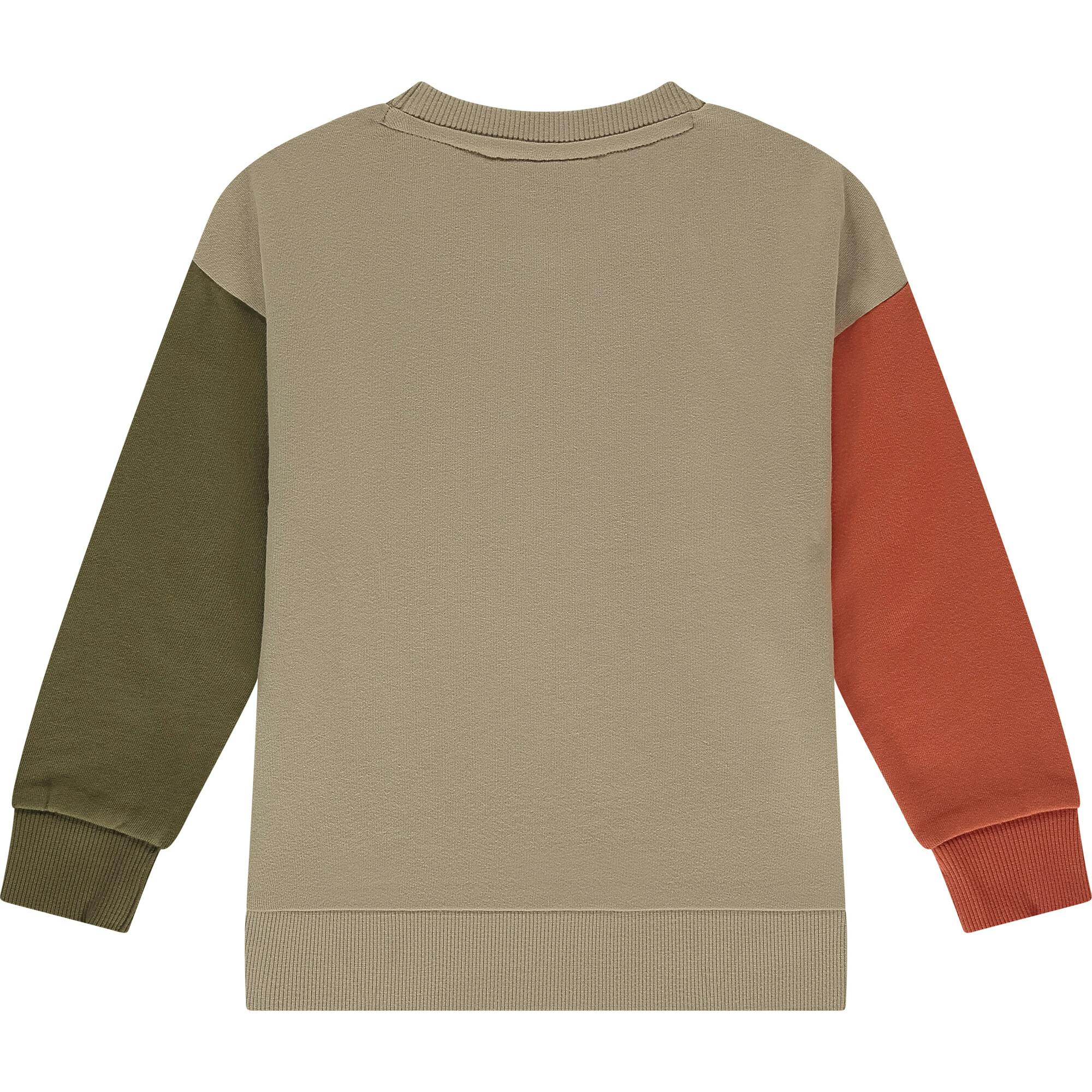 Colorblock Crewneck Sweatshirt