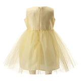 Baby Daisy Tulle Dress
