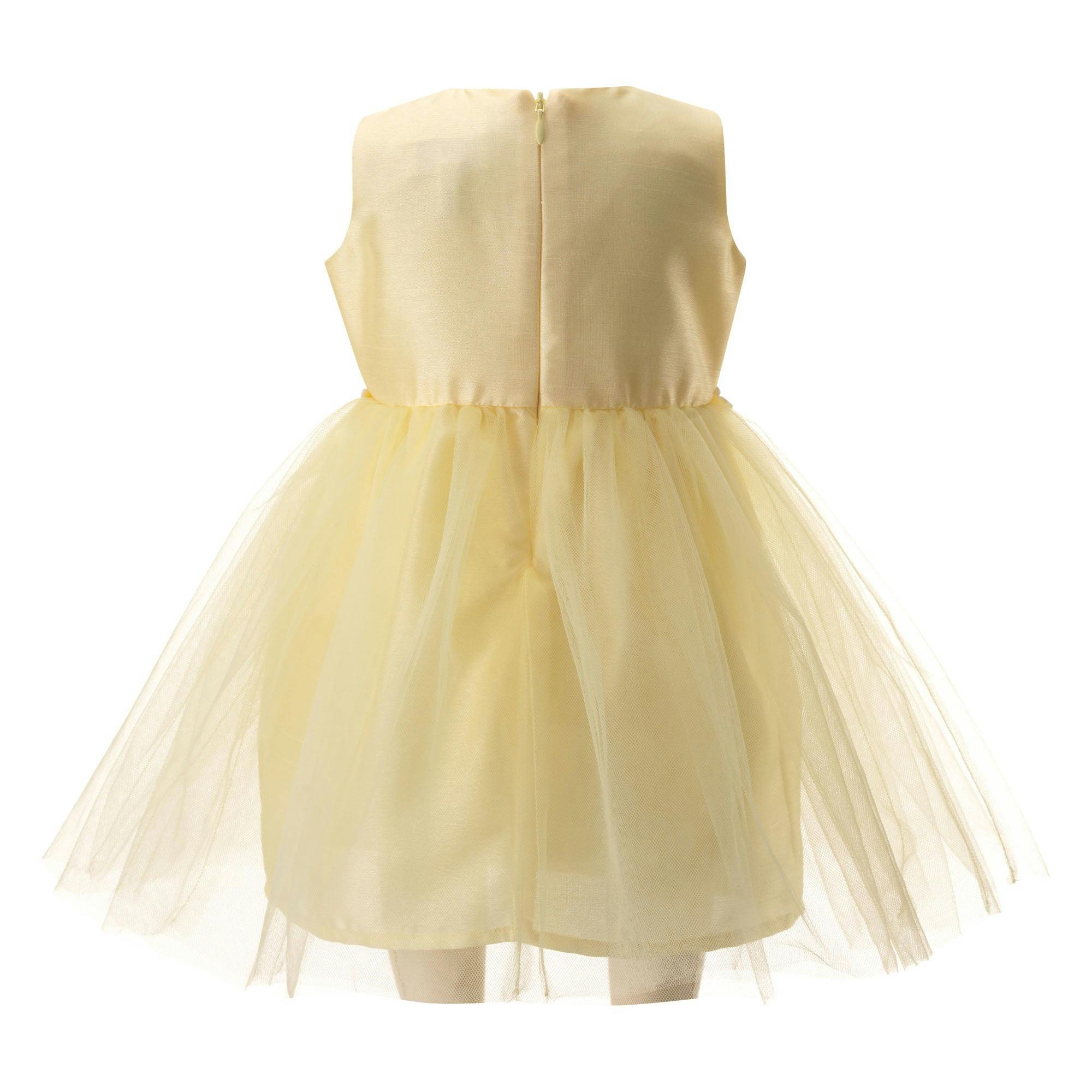 Baby Daisy Tulle Dress