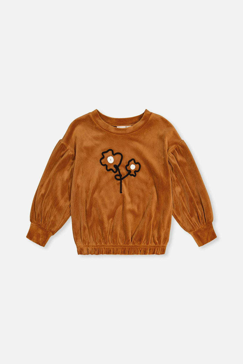 Velvet Top Brown