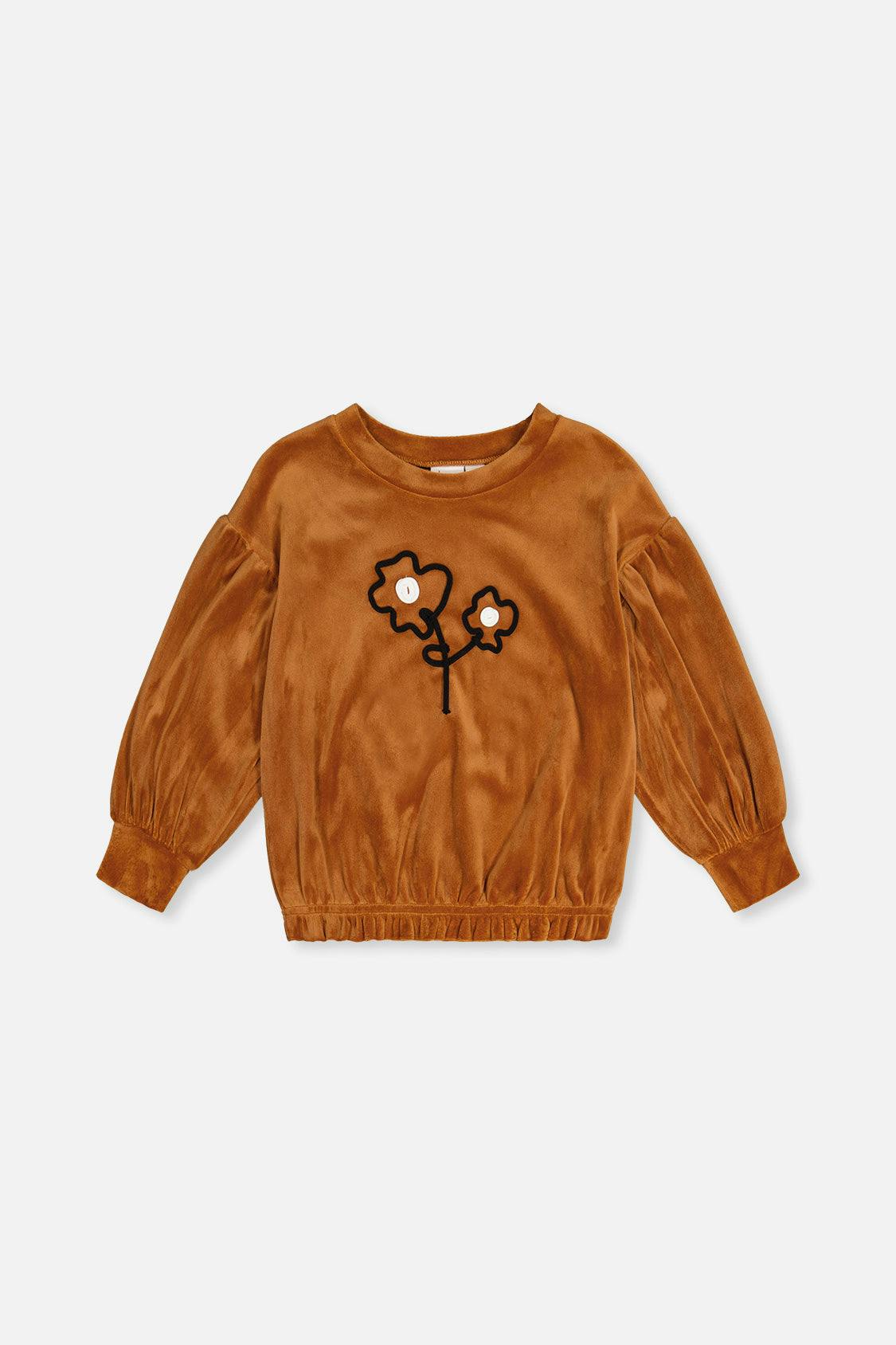 Velvet Top Brown