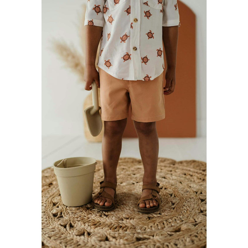 Boy's Dressy Shorts Sunset
