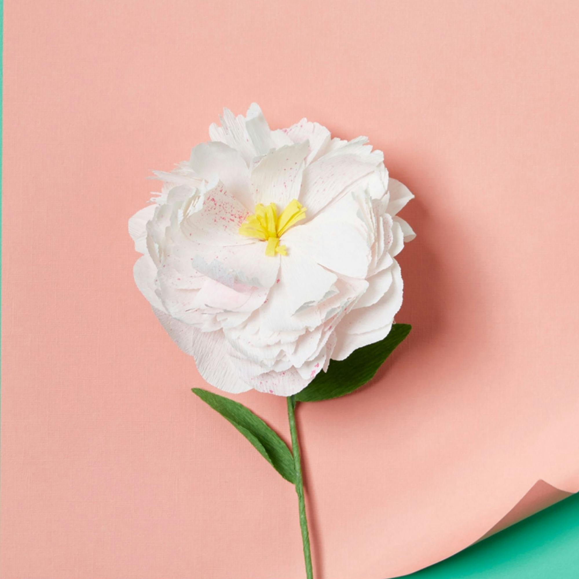 JOS: Create Your Own Paper Flowers