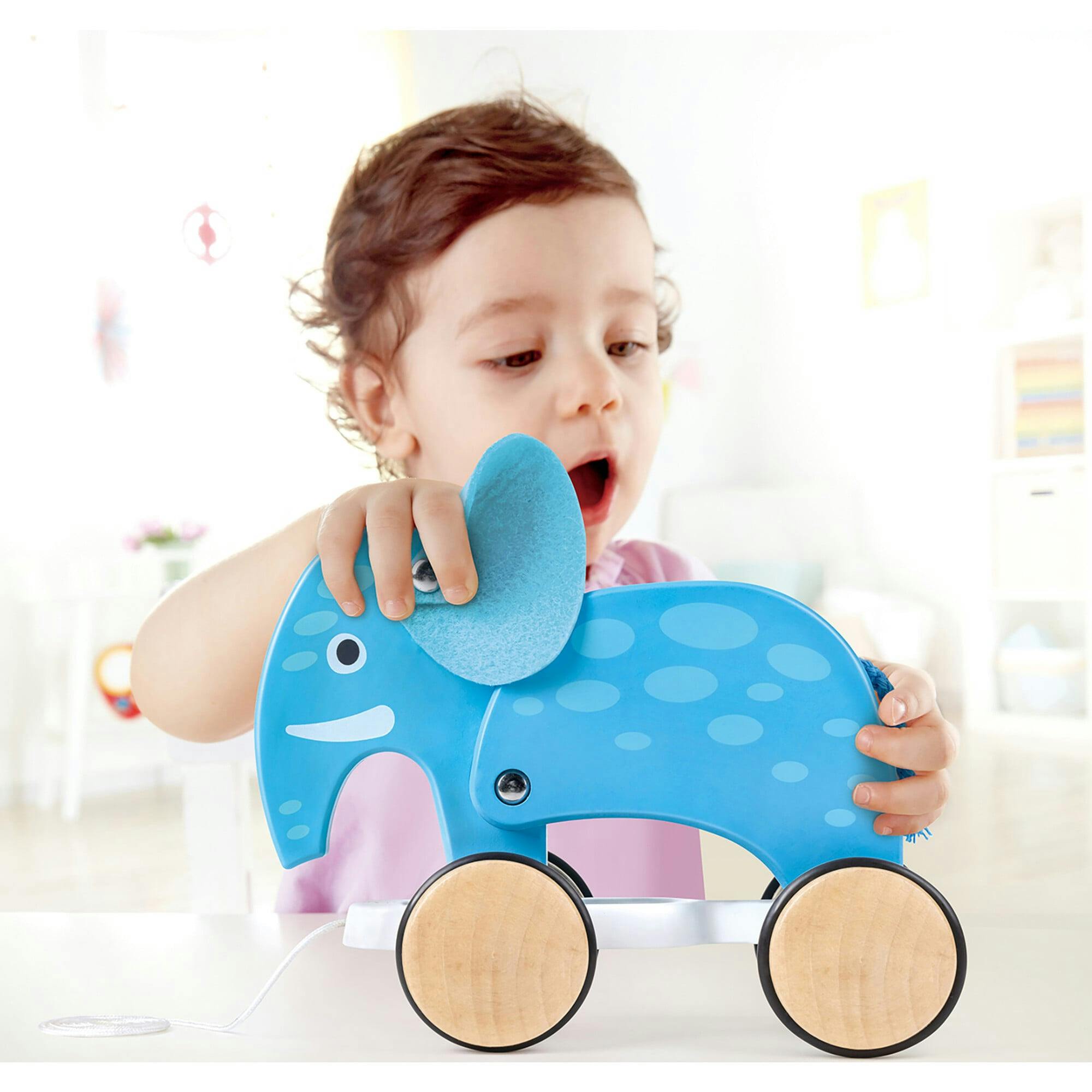 Pull Along - - Blue - Wooden Animal Toy
