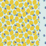 Lemonberry classic swim shorts
