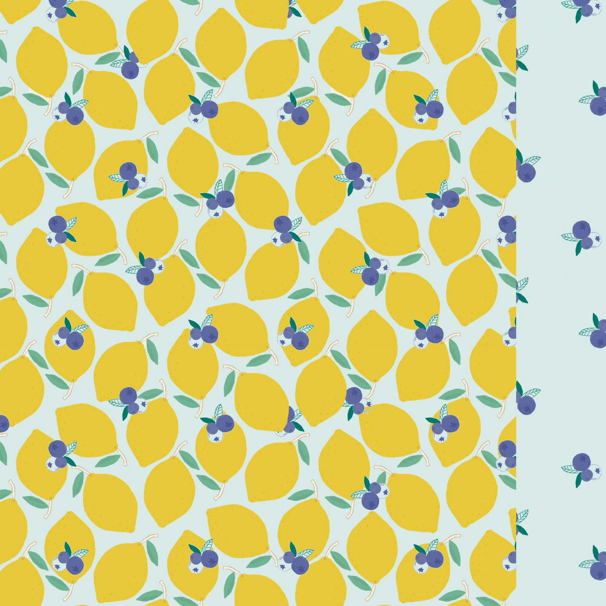 Lemonberry classic swim shorts