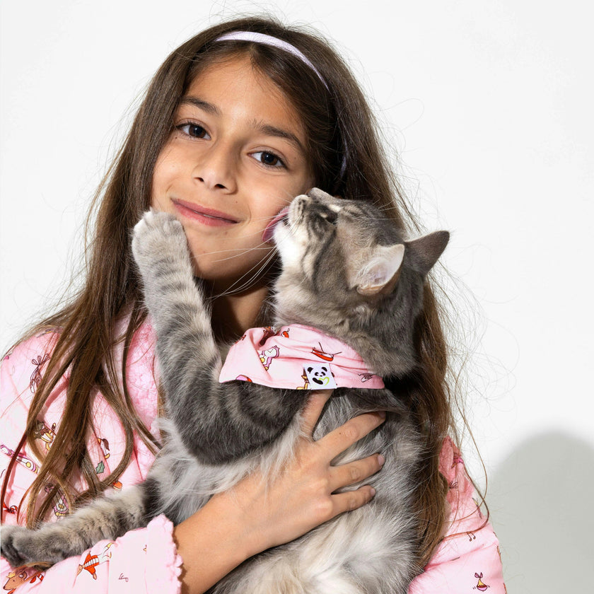 Nutcracker Pink Bamboo Pet Scarf