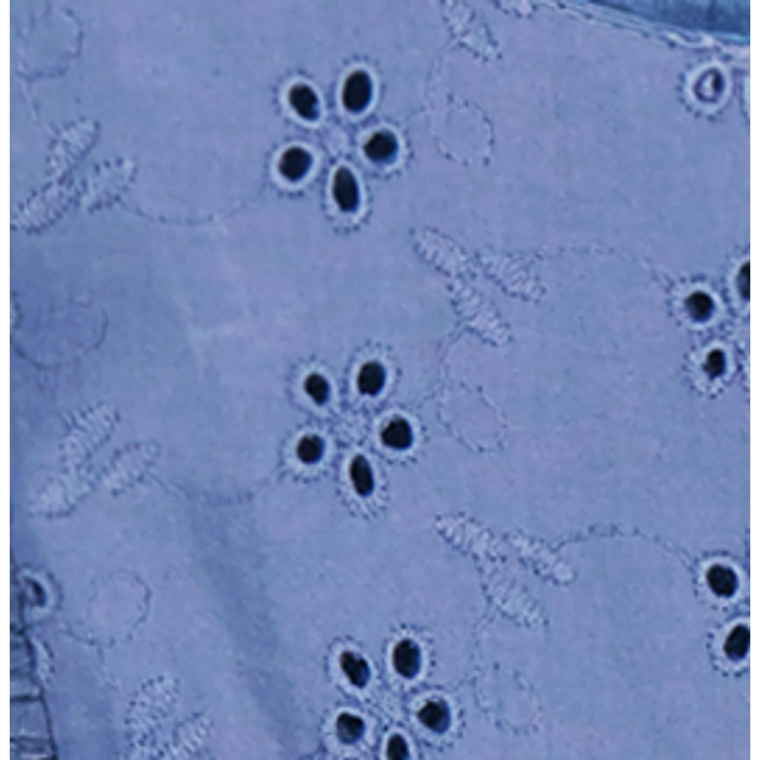 Anna Baby Romper Ocean Bliue Eyelet, Ocean Bliue Eyelet