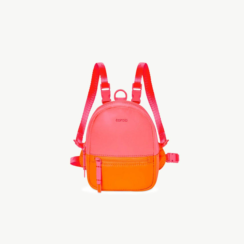 Dog Backpack