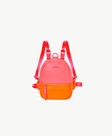 Dog Backpack