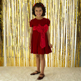 Crushed Velvet Bow Ribbon Tie Short Puff Sleeve Dress