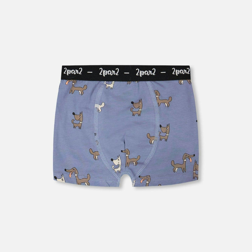 Organic Cotton Boxer Blue Print