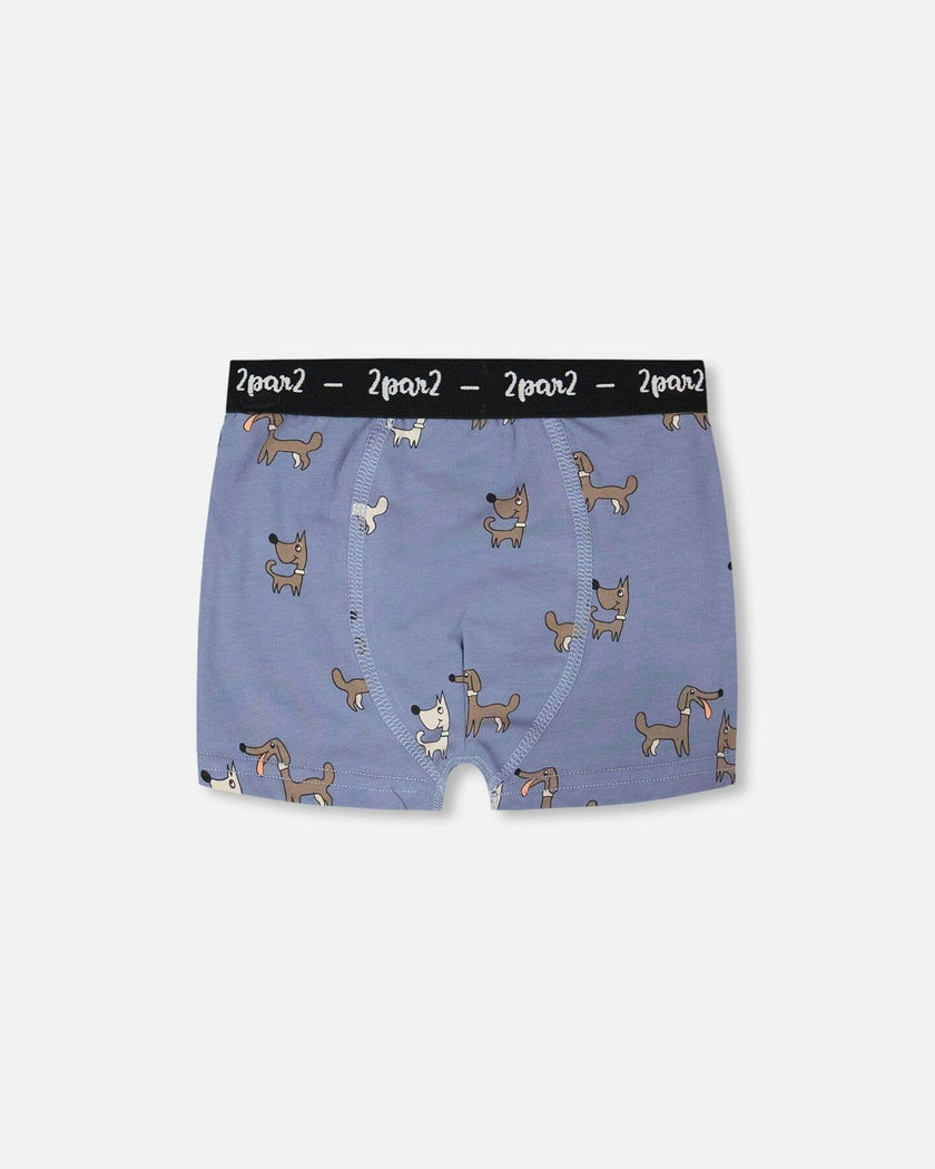 Organic Cotton Boxer Blue Print