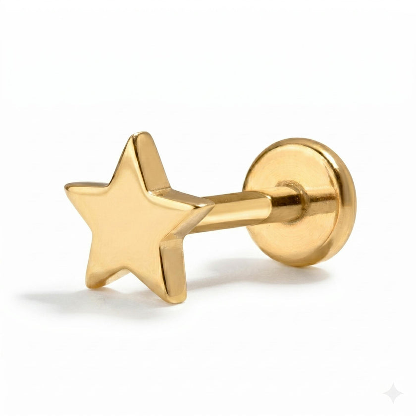 Star Titanium Flat Back Stud Earring