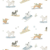 Ski Pups Boy Pima Cotton Baby Blanket