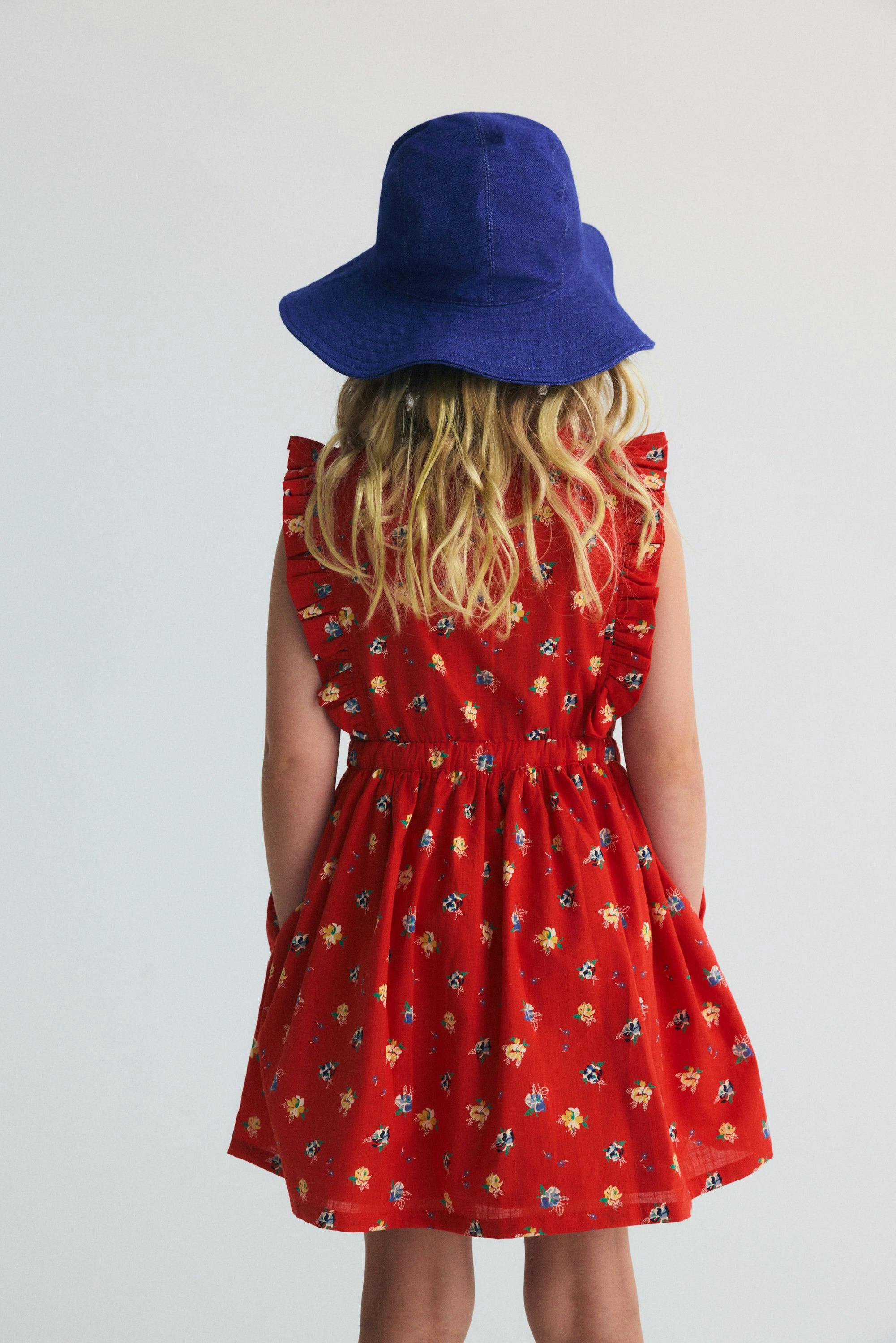 Amapola Dress Amapola Print