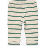 Andy Baby Legging