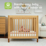 Babyletto x Avocado Organic Mini Crib Mattress 100% Nontoxic