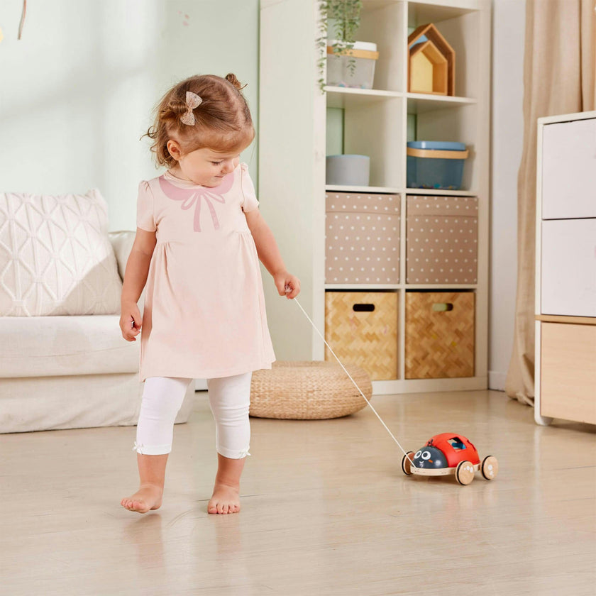 S Sorter Pull-Along Wooden Toddler Toy