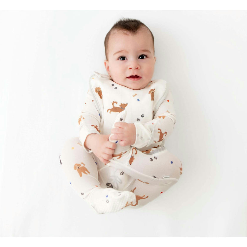Bib Set