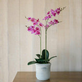 Artificial 2-Stem Phalaenopsis Pink Orchid