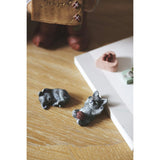 Miv & Nulle Cats