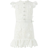 Lucinda Embroidered Mini Dress