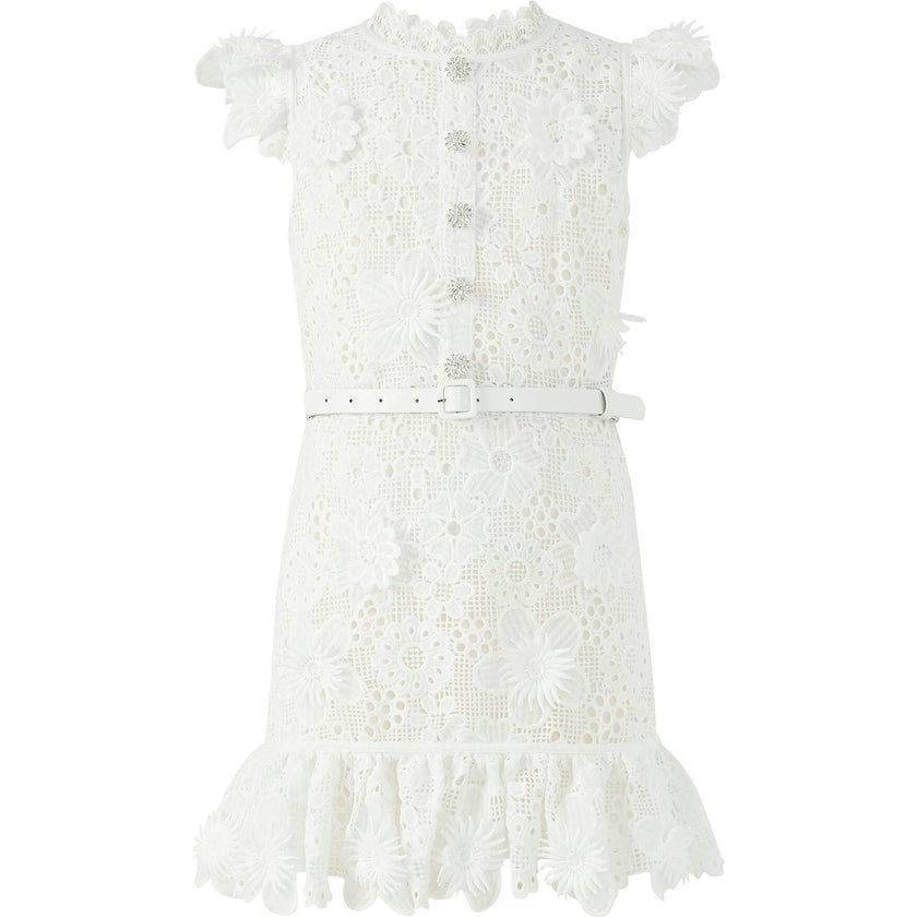 Lucinda Embroidered Mini Dress