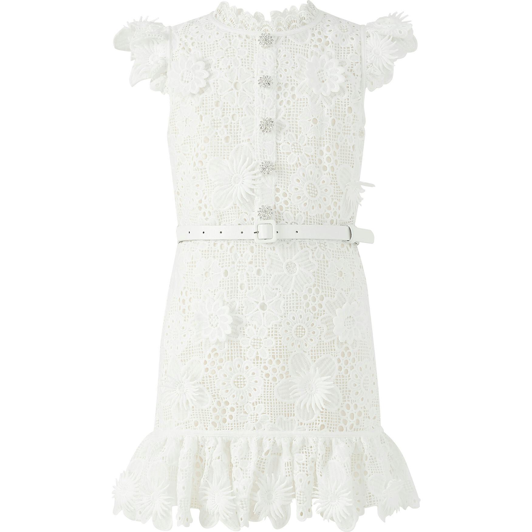 Lucinda Embroidered Mini Dress