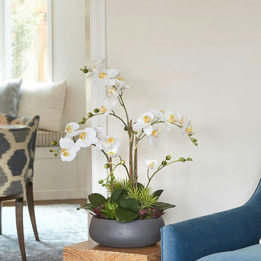 Artificial Orchid with Succulents