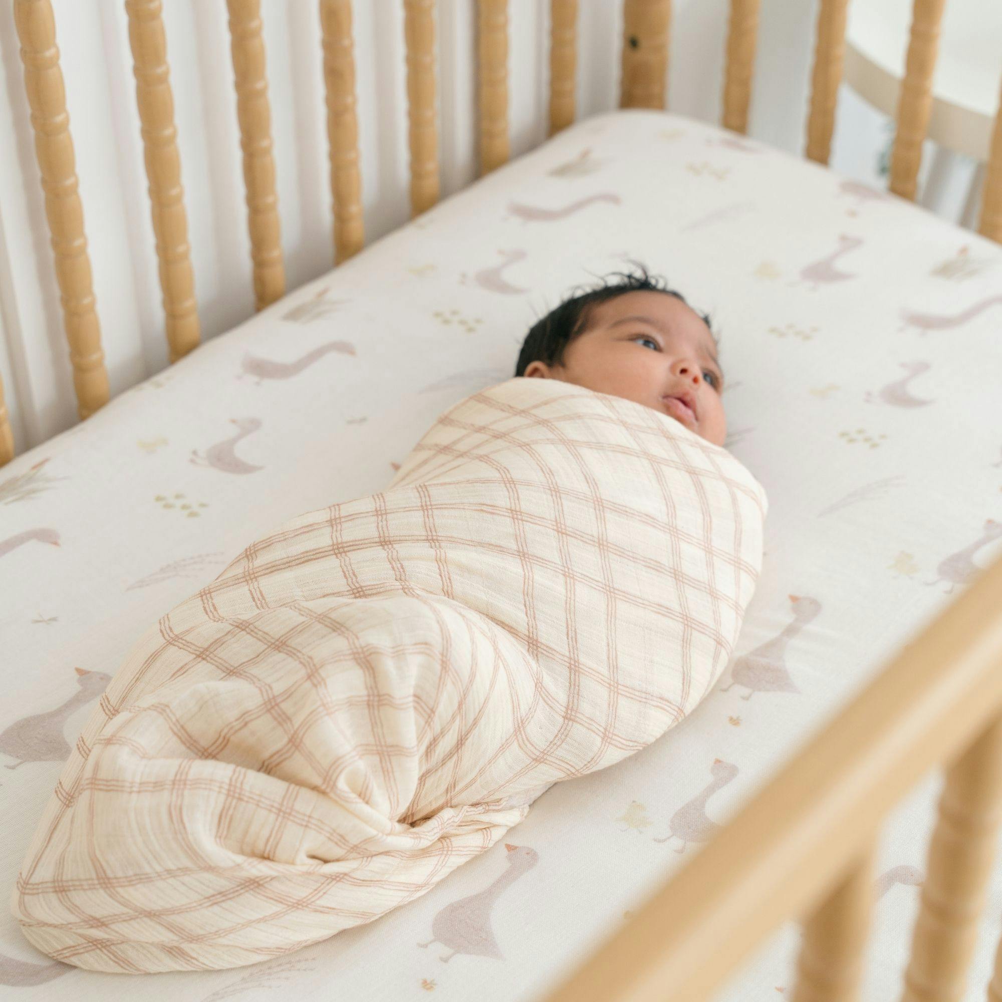 Charlie Cotton Muslin Swaddle Blanket Set (Goose, Set of 2)