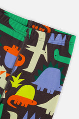 Organic Cotton Two Piece Pajama Set Black Dinosaur Print