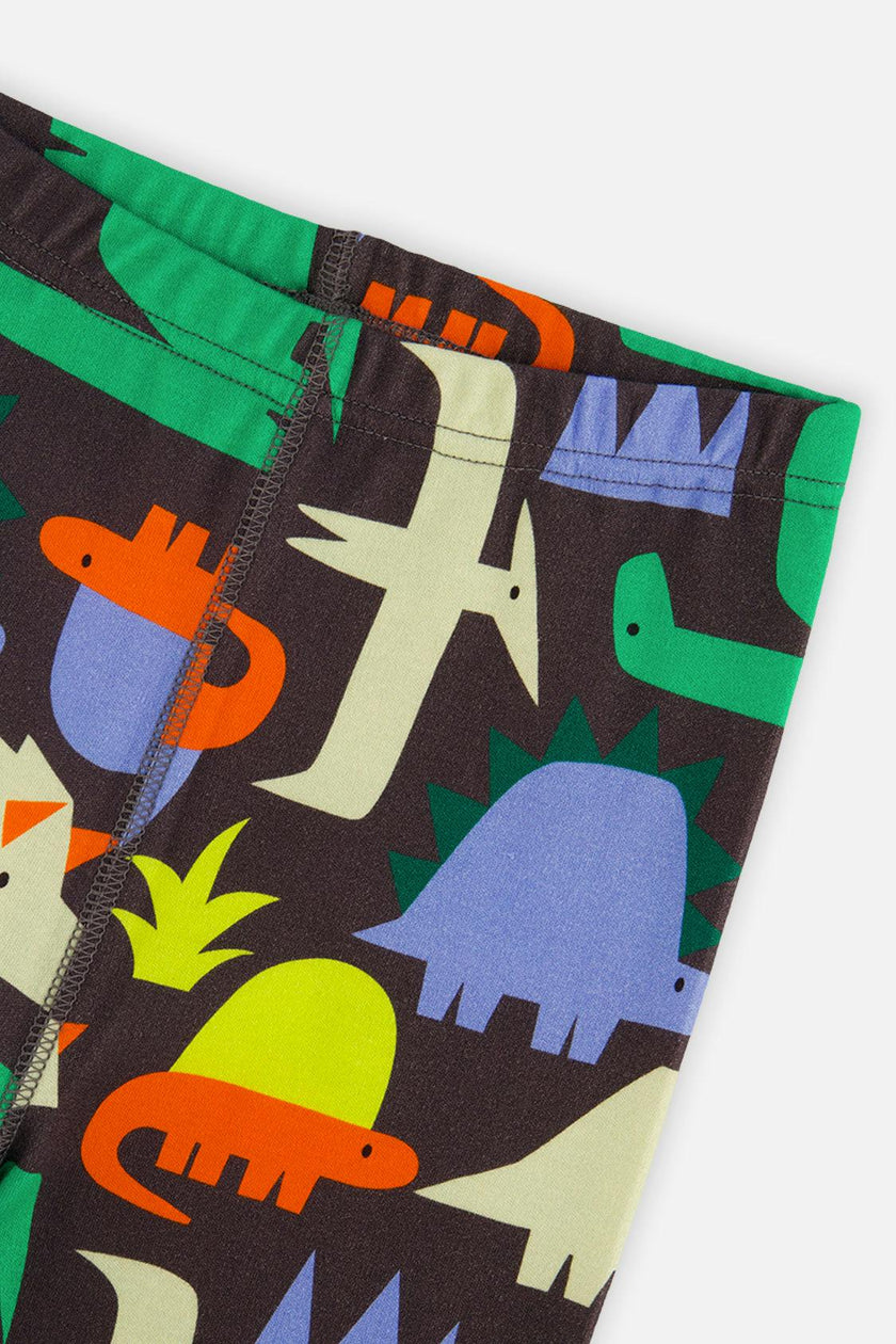 Organic Cotton Two Piece Pajama Set Black Dinosaur Print