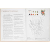 Watercolor Workbook