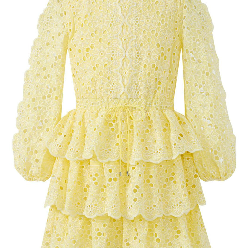Skyla Sleeve Embroidered Mini Dress