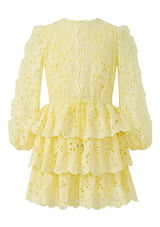 Skyla Sleeve Embroidered Mini Dress