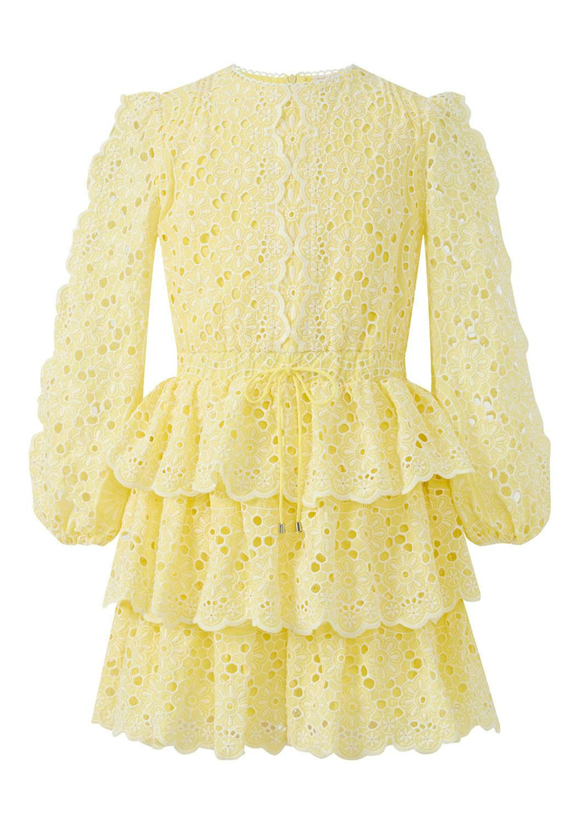 Skyla Sleeve Embroidered Mini Dress