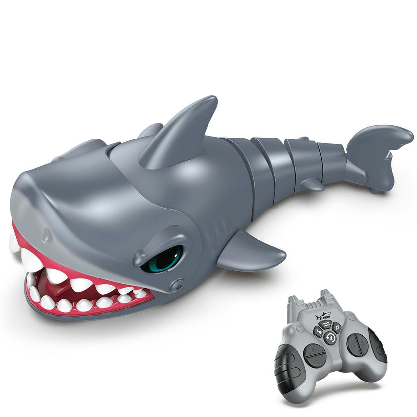 Crazy Shark
