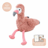 Francesca The Weighted Flamingo