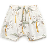 All-Over Palm Tree Print Shorts