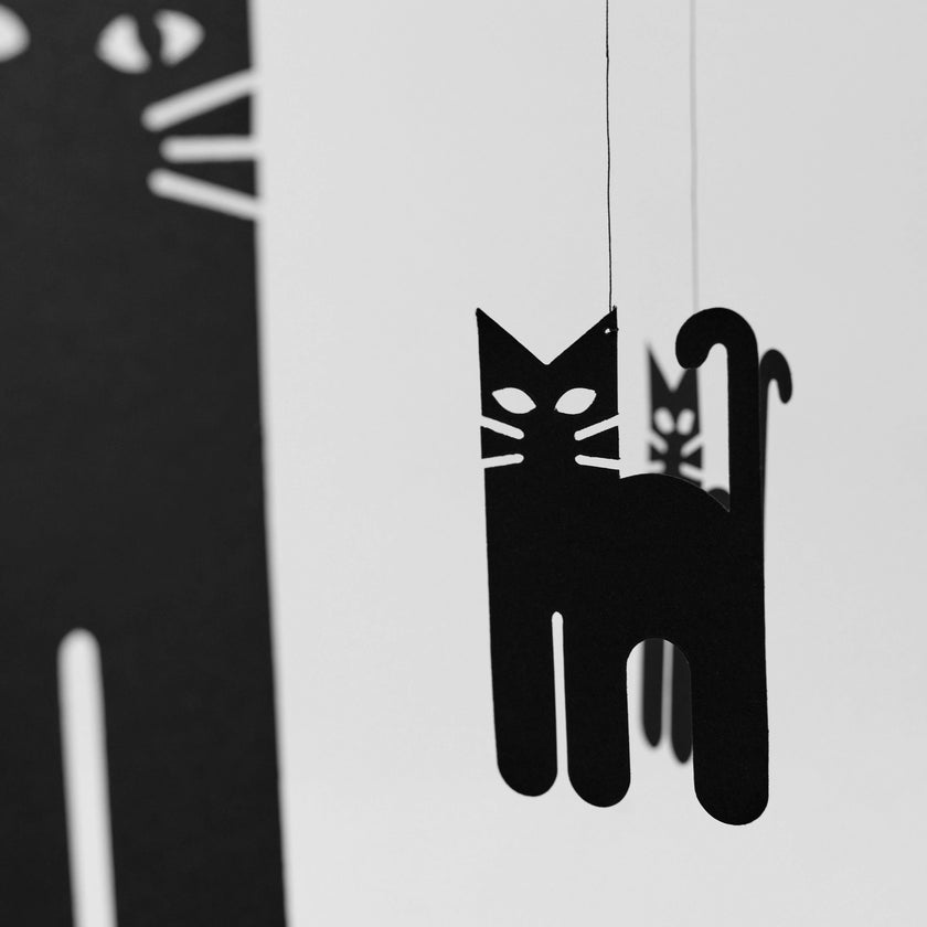 Cats.