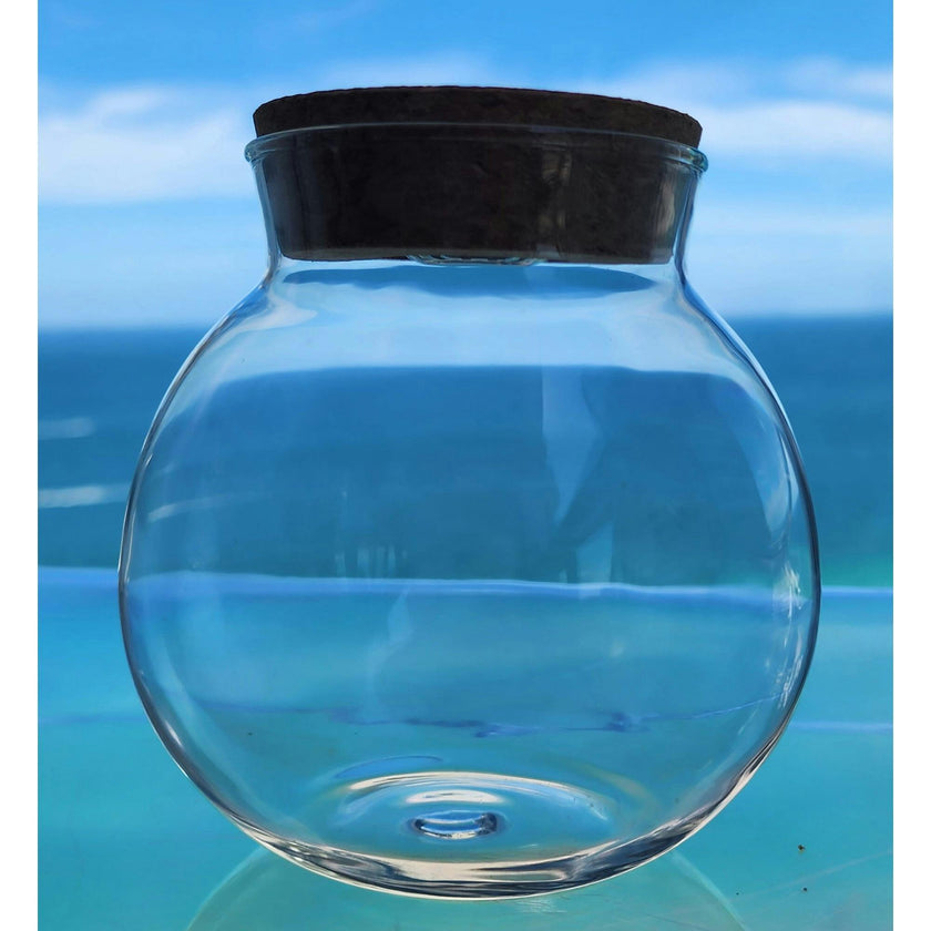 Glass Terrarium: 4" With Cork & 3 LEDs - 2 Pack