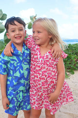 VIYA PINTUCK DRESS