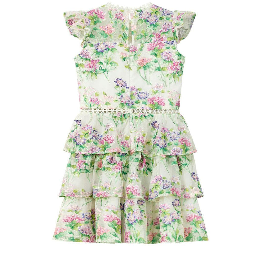 Clementine Embroidered Mini Dress