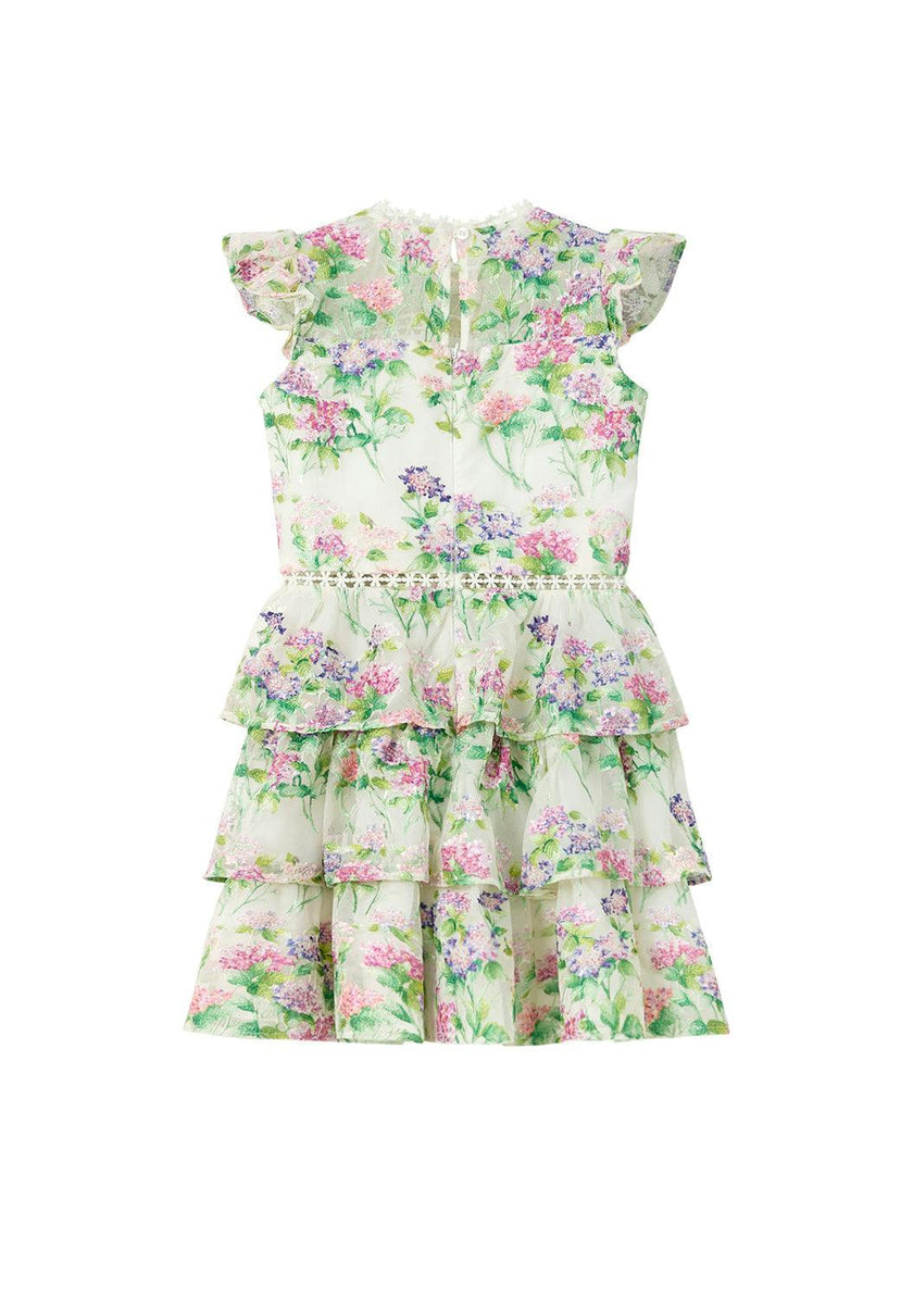 Clementine Embroidered Mini Dress