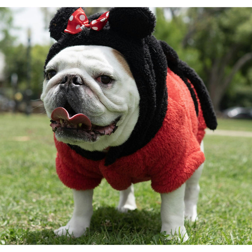 Disney Minnie Spa Robe, Red